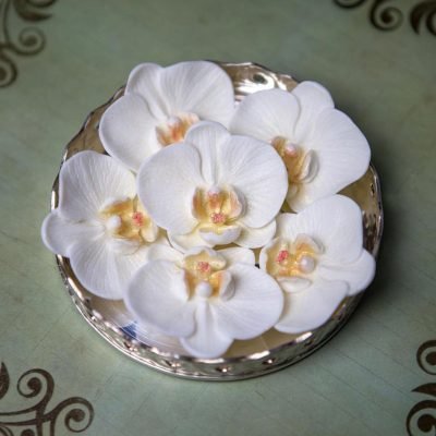 WhatsApp Image 2026-01-29 at 16.59.31