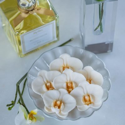 WhatsApp Image 2026-01-29 at 17.02.05