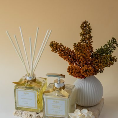 WhatsApp Image 2026-02-09 at 10.50.58